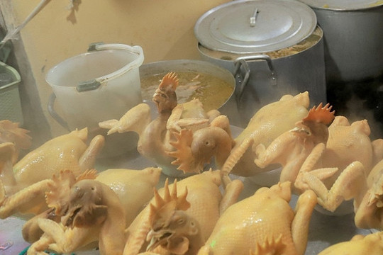 Những bộ phận bẩn nhất của gà không nên ăn
