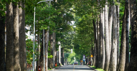 Chuyện về con đường ‘cổ’ bậc nhất Sài Gòn, nay trở thành tuyến đường huyết mạch giữa trung tâm Thành phố