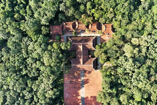 Khu rừng già 600 năm bao phủ di tích quốc gia đặc biệt ở Thanh Hóa