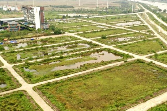 Ninh Bình sắp đấu giá 163 lô đất, khởi điểm từ 5,6 triệu đồng/m2