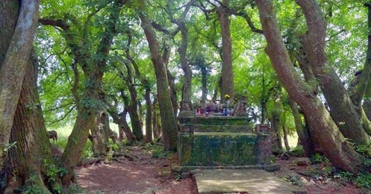 Bí ẩn ngôi mộ cổ linh thiêng bám đất Tổ hơn 1.000 năm được bảo vệ bởi hàng cây ‘báu vật’ mang con số phong thủy