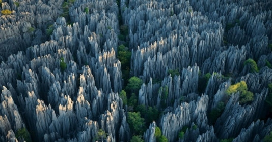Phát hiện khu rừng đá dựng đứng, sắc như lưỡi dao, được mệnh danh là một trong những nơi có địa hình hiểm trở nhất thế giới