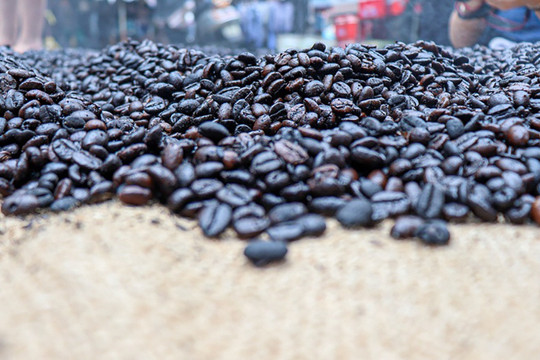 Giá cà phê cao nhất mọi thời đại, doanh nghiệp xuất khẩu ‘gồng lỗ’ nặng