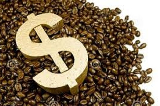 Giá cà phê phá mọi kỷ lục, nông dân 'nếm vị ngọt', doanh nghiệp xuất khẩu thấy 'đắng', hiệp hội cà phê nói gì?