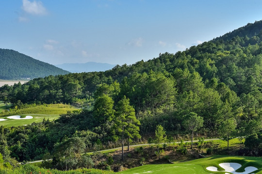 Chủ đầu tư sân golf, biệt thự The Dàlat at 1200 phá rừng làm dự án, bị đề nghị thanh tra