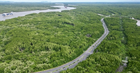 Con đường xuyên rừng đẹp nhất Việt Nam: Kết nối TP. HCM tới khu đô thị lấn biển 217.000 tỷ đồng của "ông lớn" Vingroup