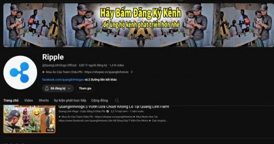 Sau Độ Mixi, kênh YouTube gần 4 triệu lượt theo dõi của Quang Linh Vlog cũng bị đánh sập: Chuyện gì đang xảy ra?