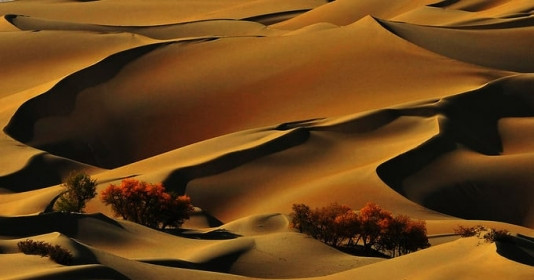 Kho báu vô giá dưới lòng sa mạc lớn thứ hai trên thế giới, giúp Trung Quốc trỗi dậy mạnh mẽ