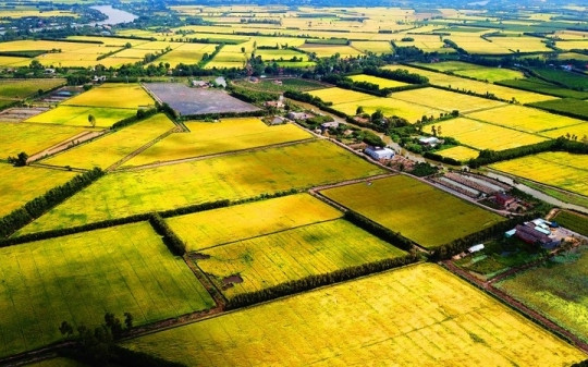 Việt Nam khánh thành nhà máy gạo lớn nhất châu Á, 'tọa lạc' tại trung tâm vùng sản xuất lúa ĐBSCL