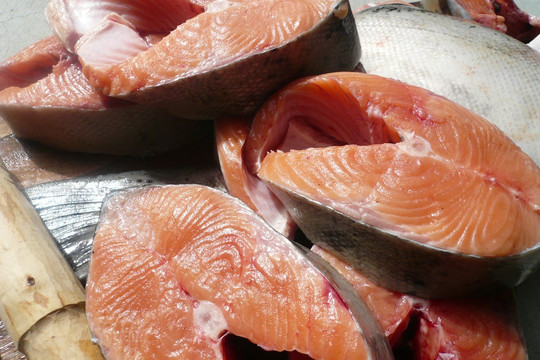 4 loại cá có thể là 'ổ' chứa kim loại nặng và formaldehyde, 'kích hoạt' ung thư và gây ngộ độc cấp tính