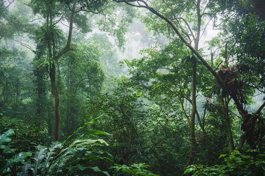 Bộ trưởng Lê Minh Hoan nhắc ‘câu thần chú’ để mở kho báu từ rừng