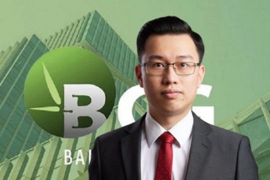 Chân dung tân Tổng Giám đốc của Tập đoàn Bamboo Capital (BCG)