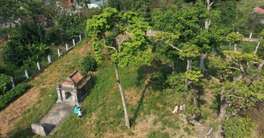 Mở 7 hố thăm dò trên diện tích 80m2 để khai quật khảo cổ tháp đôi 1.000 năm tuổi ở miền Trung Việt Nam