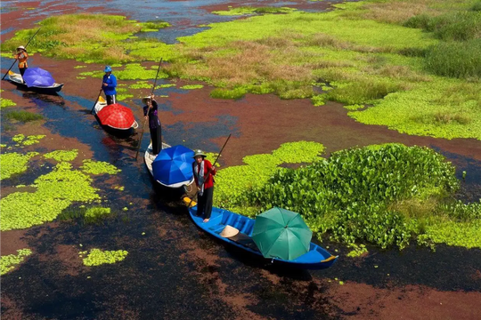 Khu rừng 2.000km2 của Việt Nam được xếp hạng quý hiếm thế giới