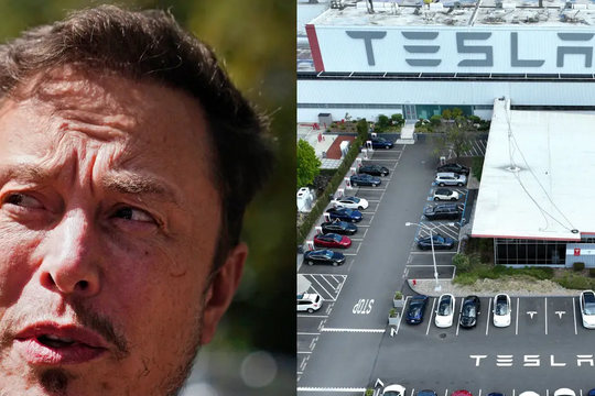 Đến nơi làm việc mới biết vừa bị Elon Musk sa thải