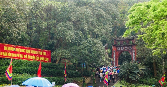 Người dân chấp nhận 'đội mưa' sáng 10/3, từ muôn nơi kéo về đền Hùng, dự kiến đón 500.000 lượt khách
