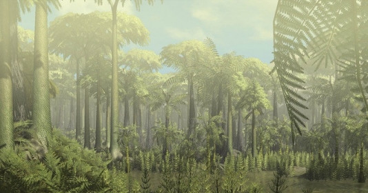 Phát hiện khu rừng cổ đại nhất trong lịch sử Trái Đất với những tảng đá 385 triệu năm tuổi, ghi lại hóa thạch của hàng chục cây cổ thụ khổng lồ