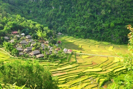 Hơn 3.000 người tại huyện miền núi thuộc tỉnh đông dân thứ 3 Việt Nam 'hưởng lợi' nhờ một dự án đặc biệt
