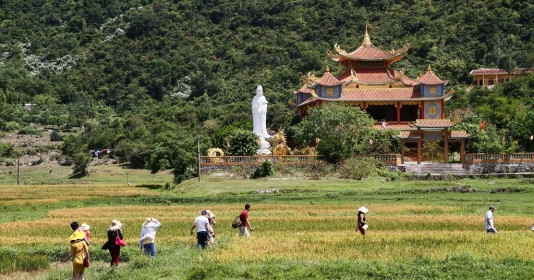 Việt Nam có ngôi cổ tự gần 300 năm tuổi trên đảo Cù Lao Chàm nổi tiếng với '4 không'