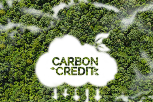 Thủ tướng yêu cầu thiết lập hệ thống đăng ký quốc gia về tín chỉ carbon