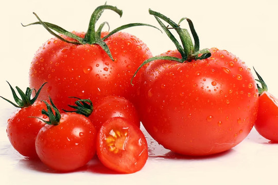 Những người không nên ăn cà chua