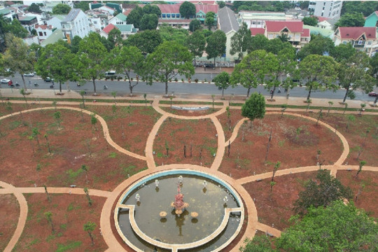 Phú Yên rà soát các dự án, gói thầu do Công ty Cây xanh Công Minh thực hiện