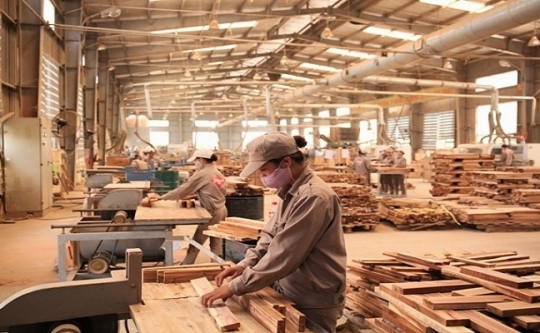 Một tỉnh ven biển miền Trung sắp đón nhà máy chế biến gỗ 300 tỷ đồng