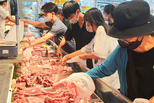 Giá thịt lợn tăng mạnh, các ‘ông lớn’ ồ ạt tăng đàn, tự tin thu lãi cao gấp 3