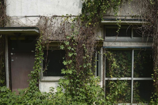 Dân số giảm từng năm, Nhật Bản lo giải quyết 9 triệu căn nhà bỏ hoang