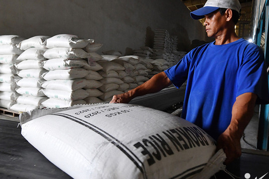 Giữa lúc giá cao, một quốc gia ở Đông Nam Á chi gần 1 tỷ USD mua gạo Việt Nam