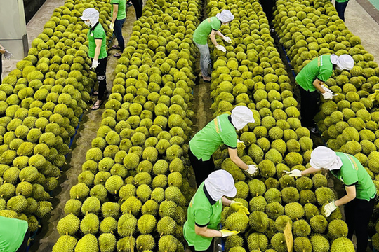 Điểm danh 4 mặt hàng nông sản Việt Nam được thế giới ưa chuộng