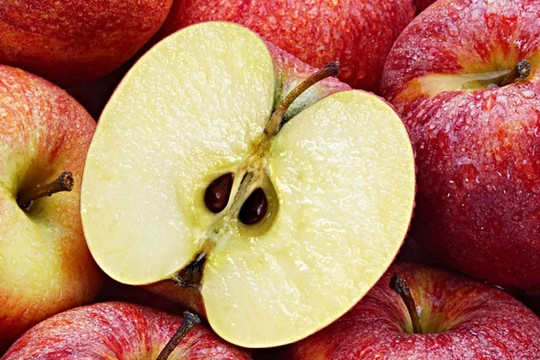 Một phần của quả táo chứa chất nguy hiểm, nên tránh ăn