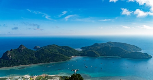 Phát hiện nhiều loài mới tại đảo du lịch lọt top 10 hòn đảo đẹp nhất hành tinh của Việt Nam