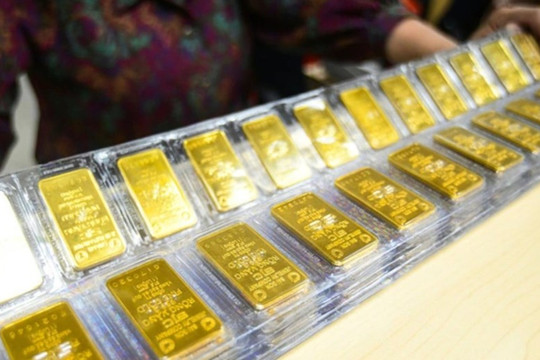 Vàng trong nước đồng loạt tăng quanh mức nửa triệu đồng/lượng
