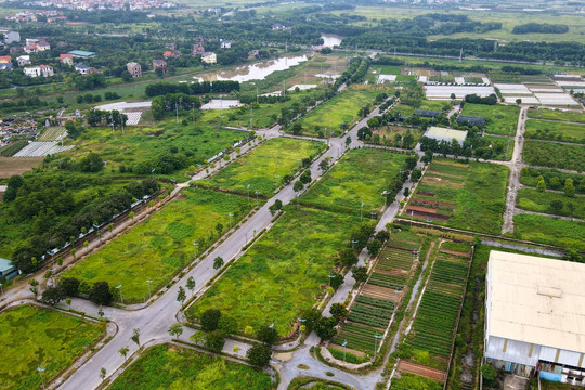 Hà Nội tìm nhà đầu tư cho loạt dự án khu đô thị, nhà xã hội