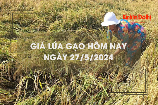 Giá lúa gạo hôm nay 27/5/2024: giá gạo tiếp tục giảm nhẹ