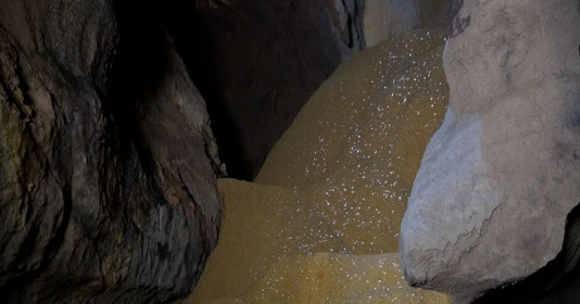 Việt Nam vừa phát hiện hang động có thạch nhũ vàng lấp lánh nằm trong khu bảo tồn 25.000ha