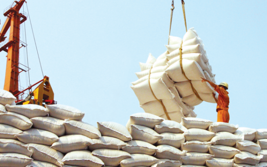 Bộ Công Thương yêu cầu báo cáo việc doanh nghiệp gạo 'bỏ thầu giá thấp'