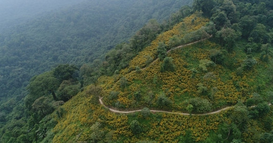 Con đường đi tới khu rừng được mệnh danh ‘điểm du lịch trốn khói bụi gần Hà Nội’ chuẩn bị được rót 364 tỷ 'lên đời'
