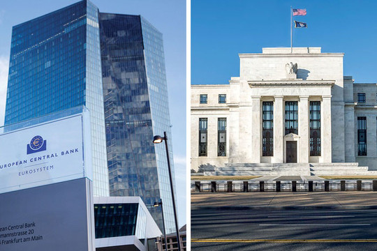 ECB chấp nhận một quỹ đạo lãi suất riêng biệt với Fed?