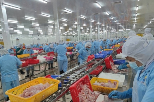 Navico (ANV) vượt Vĩnh Hoàn (VHC) trở thành doanh nghiệp cá tra có vốn điều lệ lớn nhất thị trường