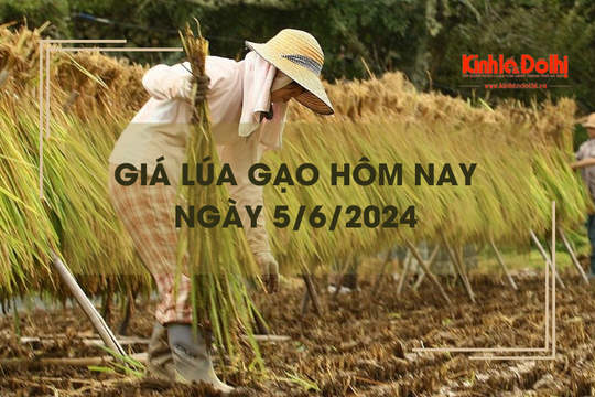 Giá lúa gạo hôm nay 5/6/2024: giá gạo tăng nhẹ