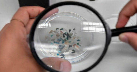 Việt Nam thuộc nhóm các quốc gia đang dẫn đầu thế giới về lượng vi nhựa nạp vào cơ thể: Nguyên nhân khiến nhiều người bất ngờ, hóa ra do loại thực phẩm quen thuộc