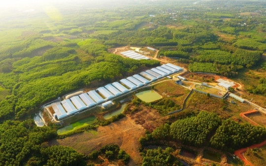 Dự án chăn nuôi công nghệ cao trăm tỷ tại Quảng Trị có chuyển biến mới