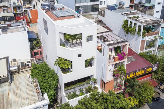 Nhà phố như rừng nhiệt đới giữa đô thị Sài Gòn