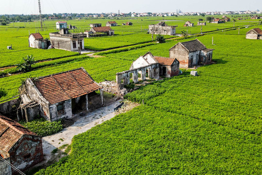Sức sống hồi sinh ở nơi 60 hộ dân Nam Định bị 'xoá sổ' sau một cơn bão
