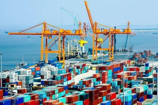 Tân Cảng Sài Gòn lên tiếng trước thông tin doanh nghiệp hồ tiêu bị rút ruột tại cảng Cát Lái