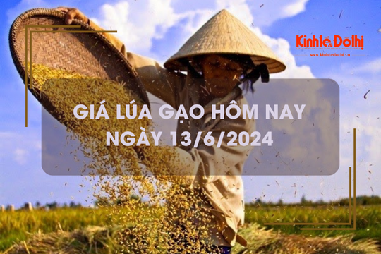 Giá lúa gạo hôm nay 13/6/2024: giá gạo tiếp tục tăng nhẹ 50 đồng/kg