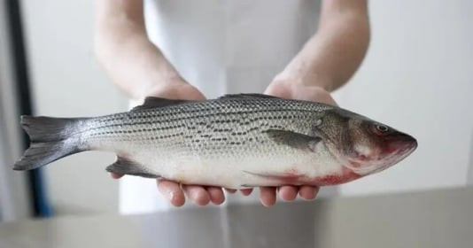 Loại cá có nguy cơ gây ung thư gấp 20 lần thịt đỏ: Được nhiều người Việt ưa chuộng, thường xuất hiện trên bàn ăn