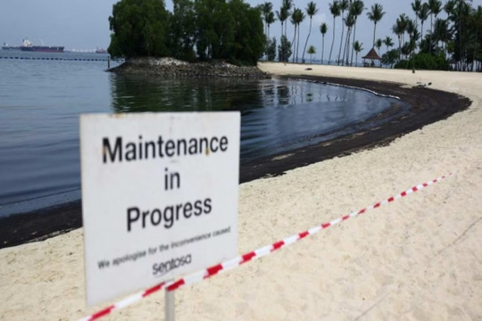 Singapore đóng cửa hòn đảo 'thiên đường nghỉ dưỡng' vì sự cố tràn dầu